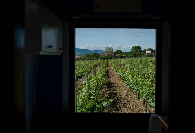 디럭스 룸, Tiny House In The Vineyard By Gramofon Wine