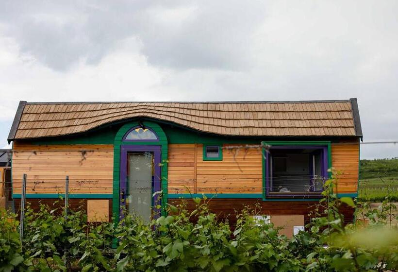 디럭스 룸, Tiny House In The Vineyard By Gramofon Wine