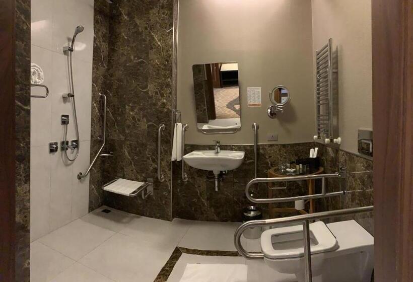 اتاق استاندارد برای معلولان, Borjomi Likani Health & Spa Centre