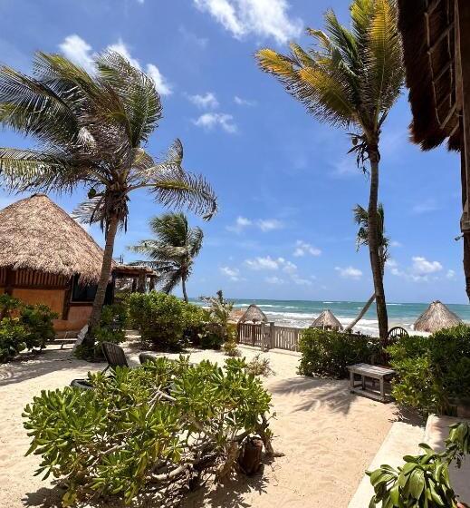 Quarto Economy, La Conchita Tulum
