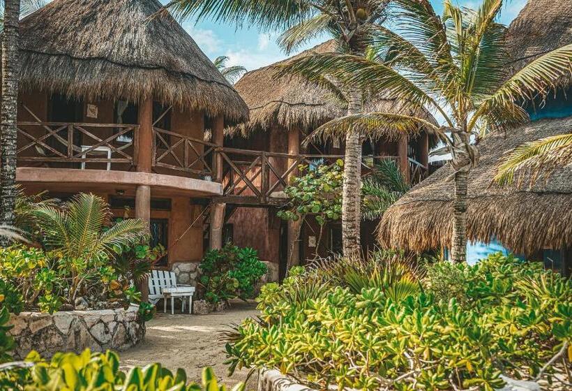 Quarto Estandar, La Conchita Tulum