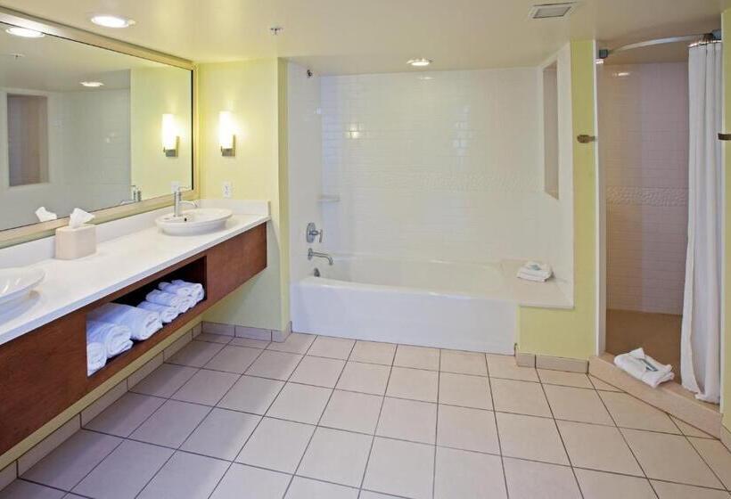 ２ベッドスイートルーム, Holiday Inn Express Indianapolis  Fishers, An Ihg