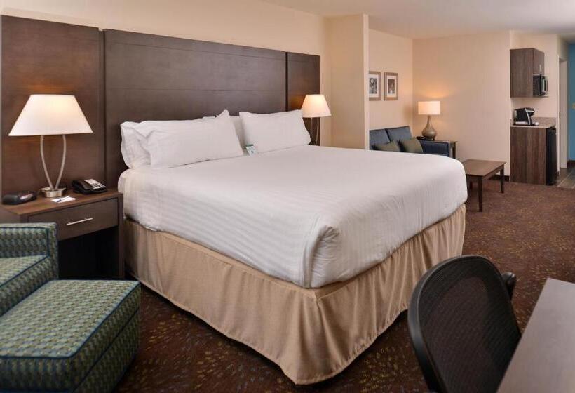 Номер Стандарт Адаптированный для Инвалидов, Holiday Inn Express & Suites Dearborn Sw   Detroit Area, An Ihg