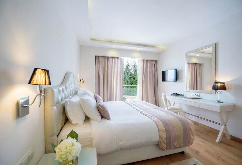 اتاق استاندارد, Calma Hotel & Spa