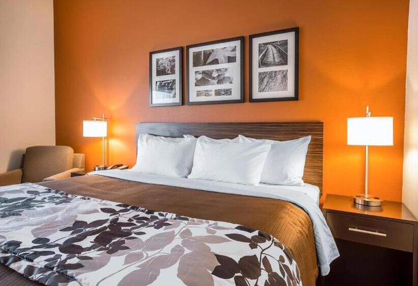 חדר סטנדרט עם מיטת קינג, Sleep Inn Cartersville
