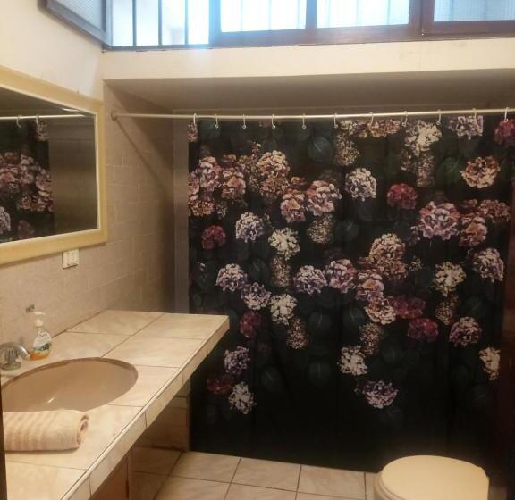 Номер Стандарт, Global Family Backpackers Hostel