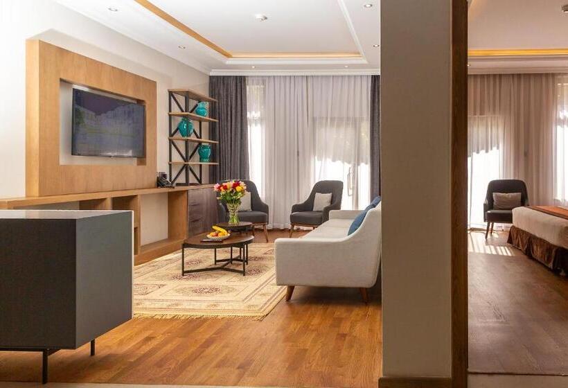 آپارتمان 1 خوابه, Alba Hotel Meru