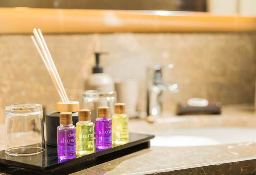 高级大房间, Mercure Ankara Kızılay