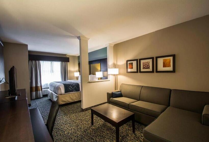 Люкс, Comfort Suites Fort Lauderdale Airport South & Cruise Port