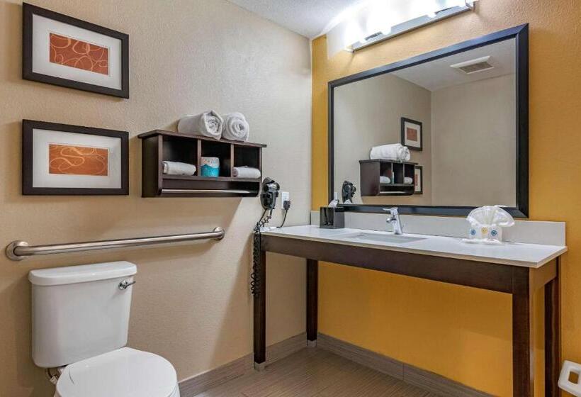 Люкс Адаптированный для Инвалидов, Comfort Suites Fort Lauderdale Airport South & Cruise Port