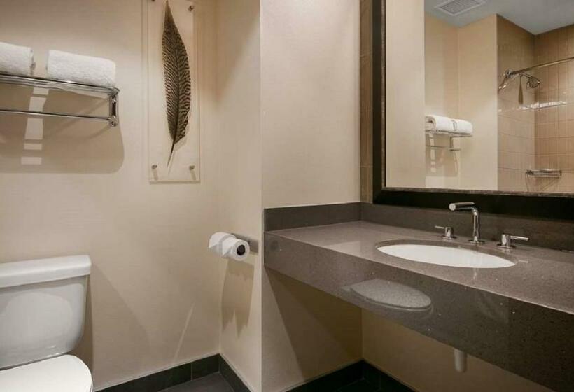 스탠다드 룸, Best Western Premier Boulder Falls Inn