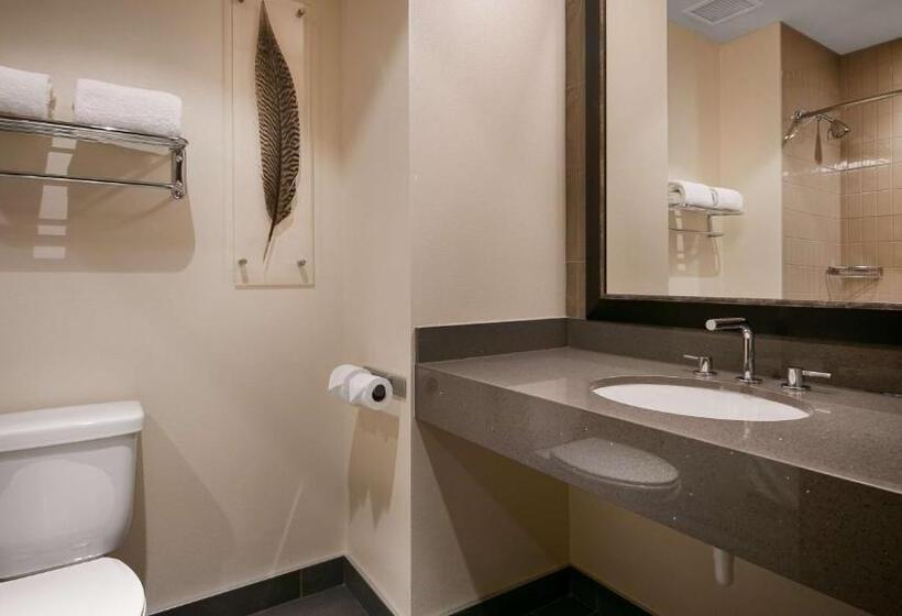 스탠다드 룸 킹사이즈 침대, Best Western Premier Boulder Falls Inn