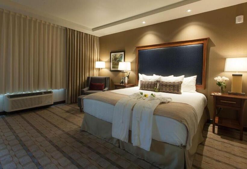 스위트 킹사이즈 침대, Best Western Premier Boulder Falls Inn
