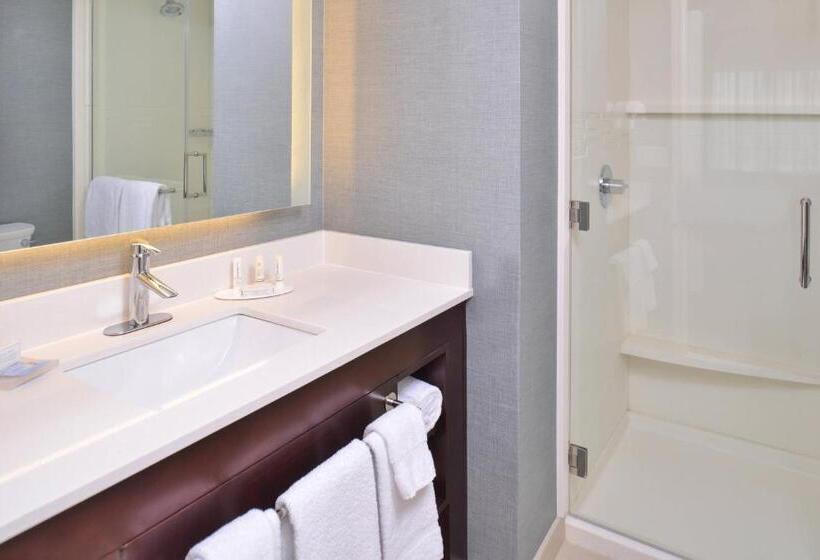 Люкс, Residence Inn By Marriott Cedar Rapids South