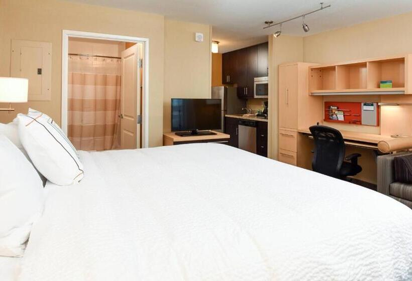 Студио Стандарт Кровать Кинг, Towneplace Suites By Marriott Detroit Commerce