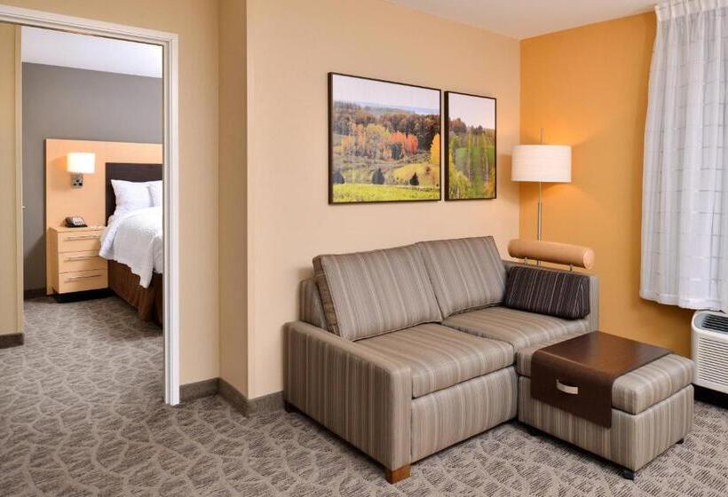 Люкс, Towneplace Suites By Marriott Detroit Commerce