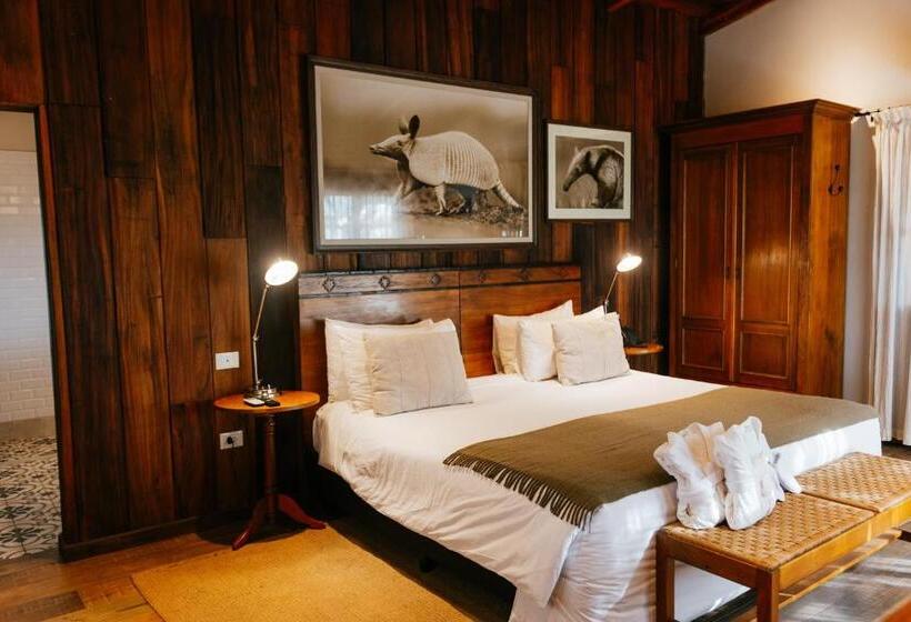 디럭스 룸, El Transito Hotel Boutique