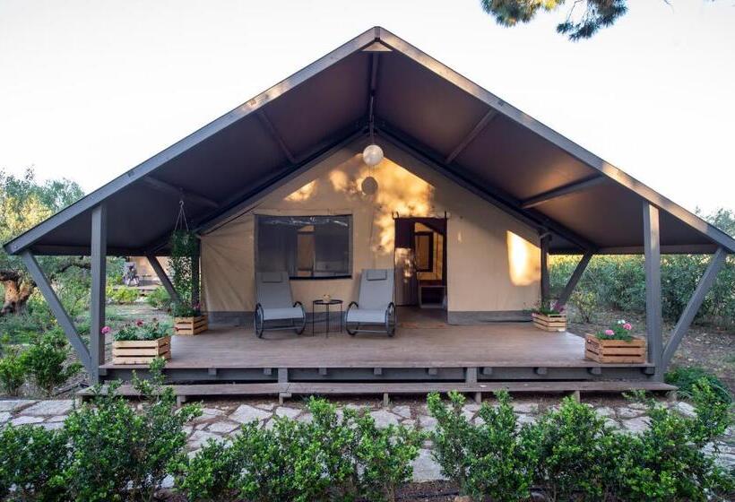 Standard Tent, Duca Di Castelmonte