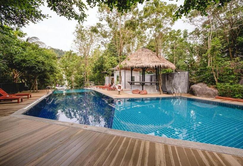 공동 객실, The Dearly Koh Tao Hostel Padi 5 Star Dive Resort