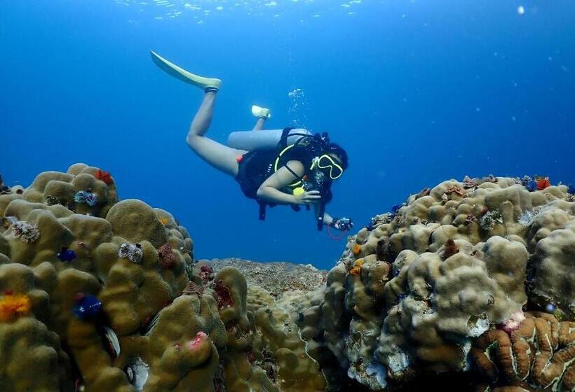 스탠다드 룸 공동 욕실, The Dearly Koh Tao Hostel Padi 5 Star Dive Resort