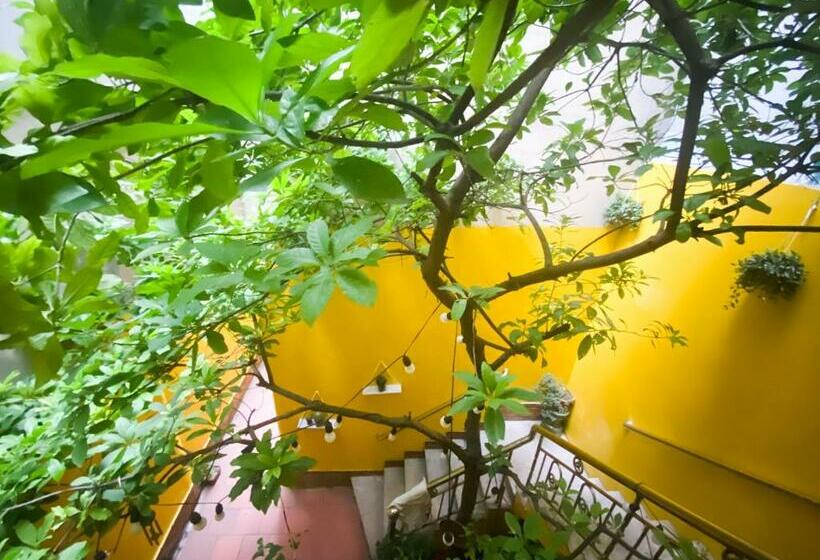 Standard Room with Balcony, Morri Homestay   Quán Thánh