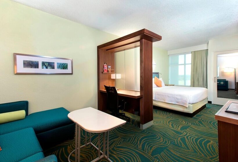 Люкс, Springhill Suites By Marriott Orlando At Flamingo Crossings Town Center Western Entrance