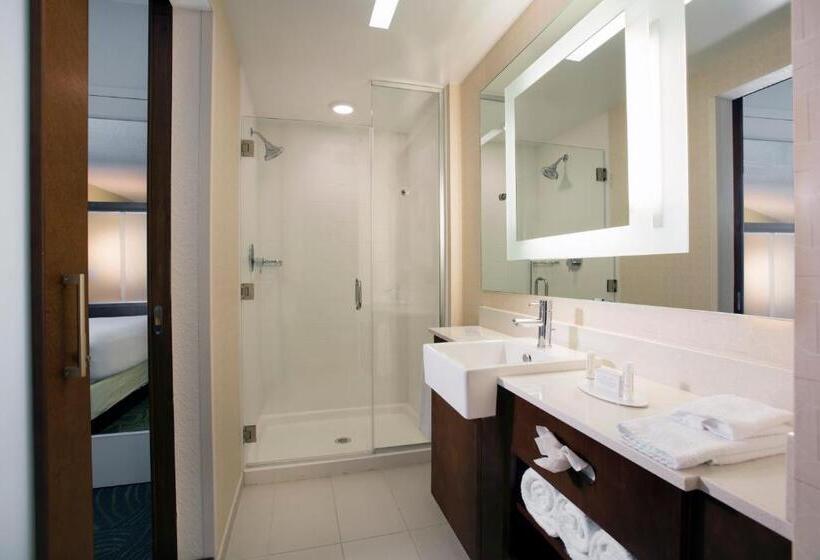 Люкс Кровать Кинг, Springhill Suites By Marriott Orlando At Flamingo Crossings Town Center Western Entrance