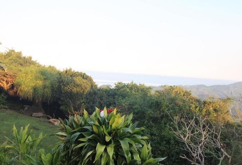 Номер Стандарт Вид на Море, Cove Rock Stay
