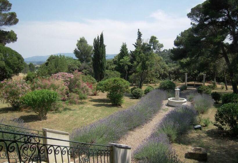 스탠다드 룸, Room In Guest Room   Hong Kong Guest Room In The Heart Of The Vineyard