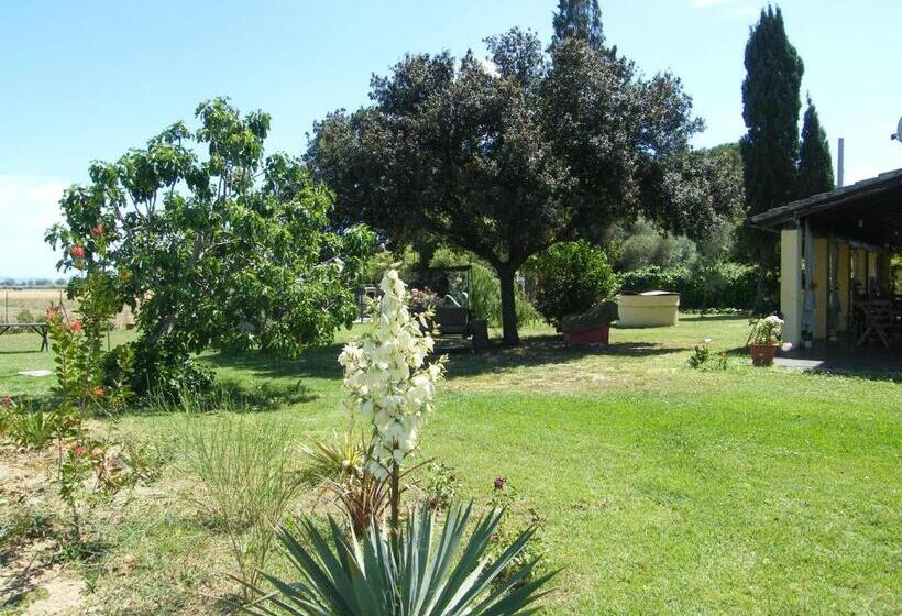 اتاق خانوادگی, Casolare Casa Ricci