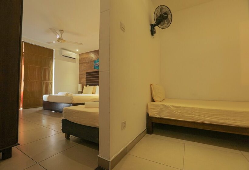 四人豪华间, Woodnest Summerside