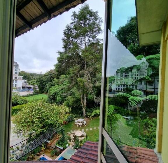 اتاق استاندارد, Arundina Cameron Highlands
