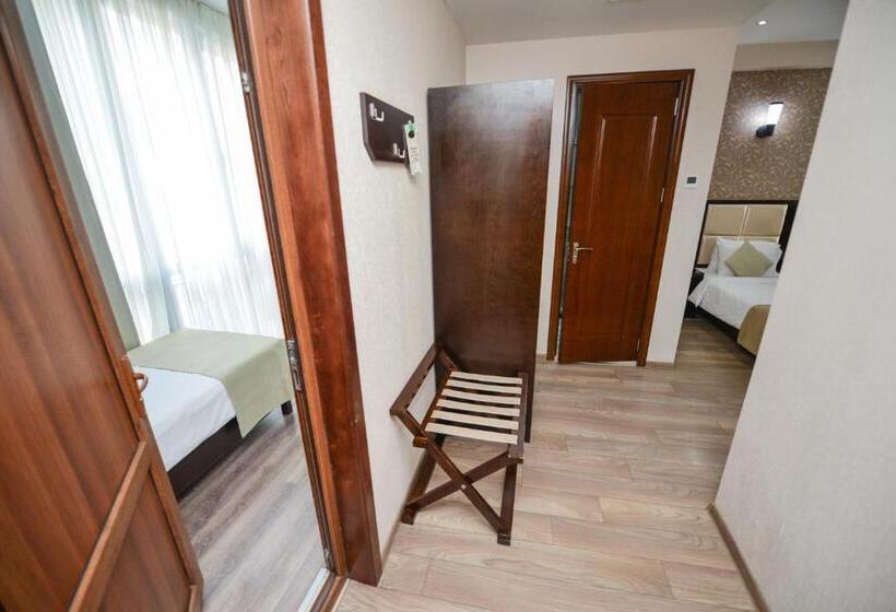 اتاق خانوادگی, Tbilisi Inn