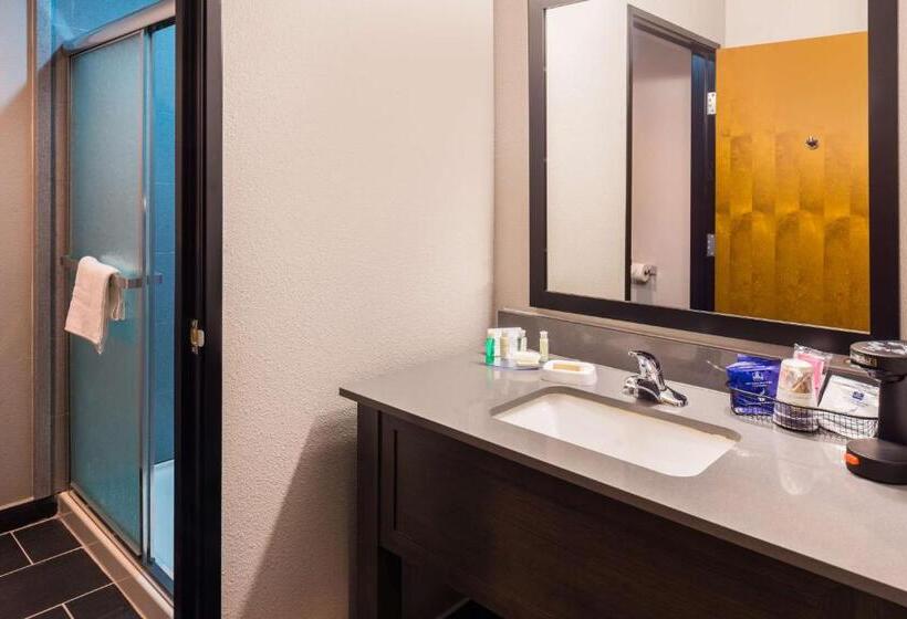 Люкс, Best Western Plus Regency Park