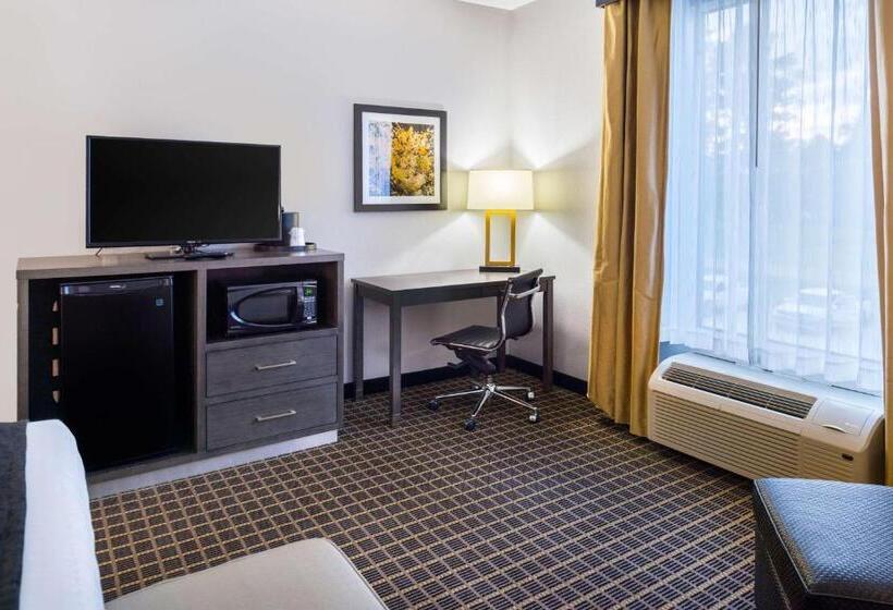 Люкс Адаптированный для Инвалидов, Best Western Plus Regency Park
