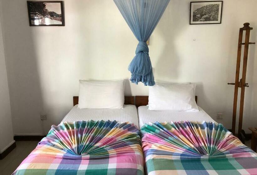 标准间, Sharon Inn