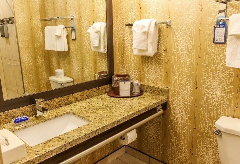 Номер Стандарт, Best Western Plus Moosomin