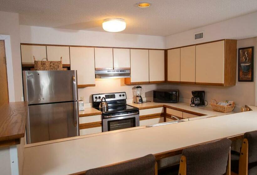 Апартаменты 1 Спальня, Mountain Lodge At Okemo