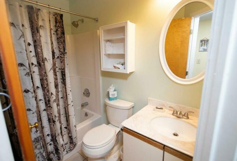 Апартаменты 1 Спальня, Mountain Lodge At Okemo
