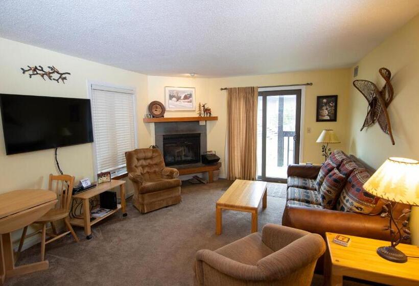Апартаменты 1 Спальня, Mountain Lodge At Okemo