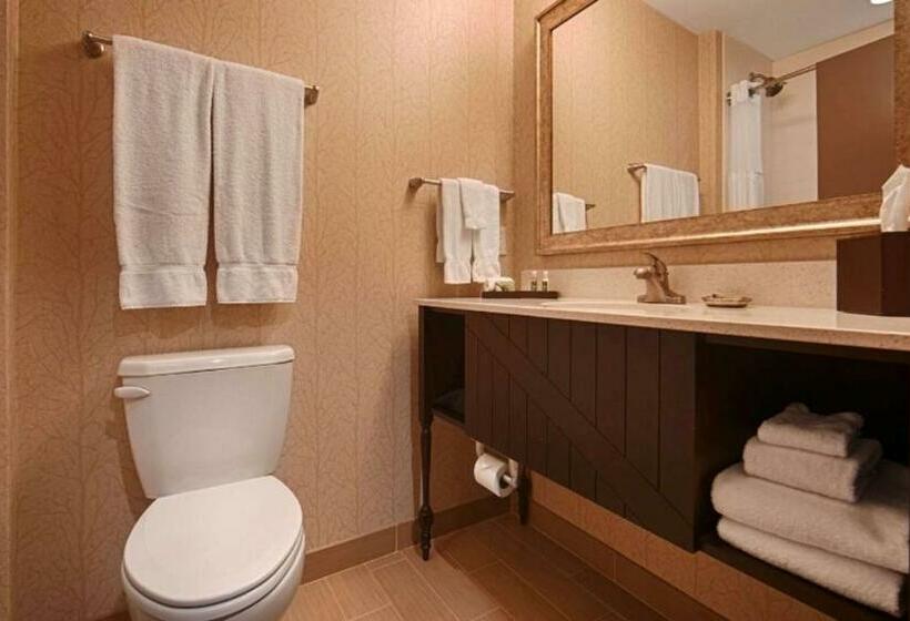 Номер Стандарт, Best Western Plus Dayton