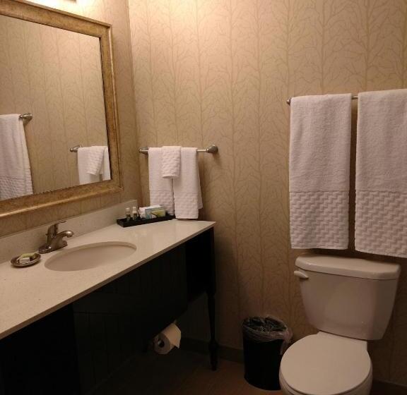 Люкс, Best Western Plus Dayton