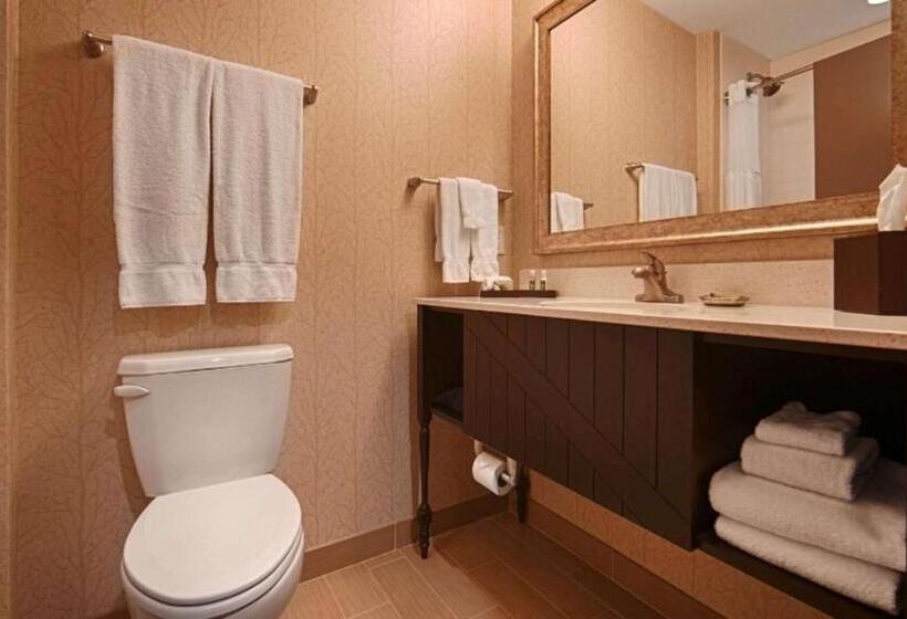 Люкс, Best Western Plus Dayton