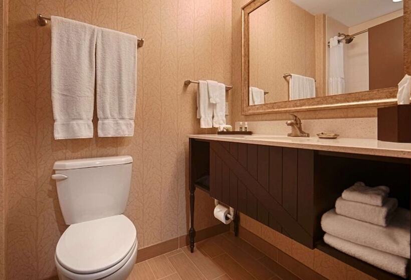 Люкс, Best Western Plus Dayton
