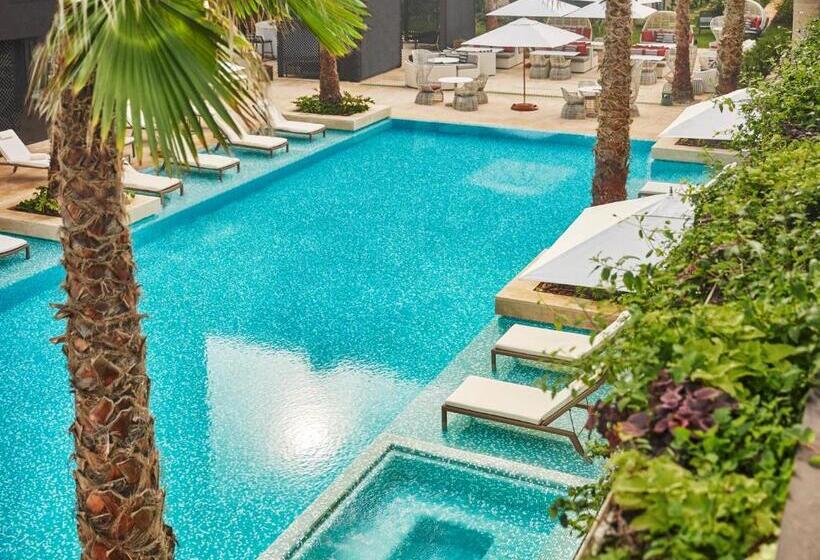 豪华套房, Four Seasons Hotel Casablanca