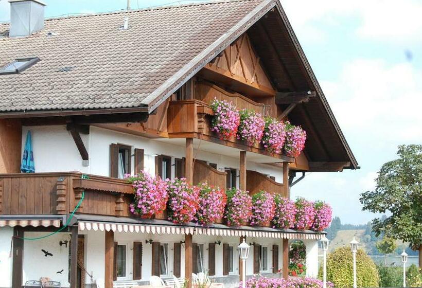 Номер Стандарт Индивидуальный, Gästehaus Stefanie