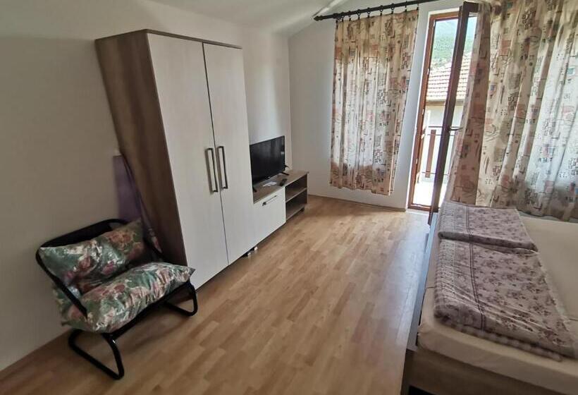 Standard studio with lake view, Guesthouse Zimovski