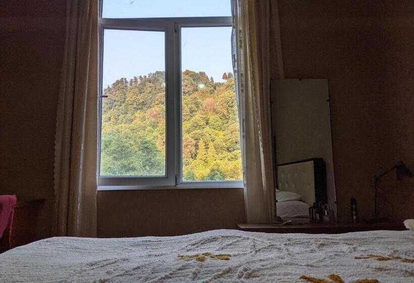 اتاق استاندارد, Guest House Pirvelwodebuli