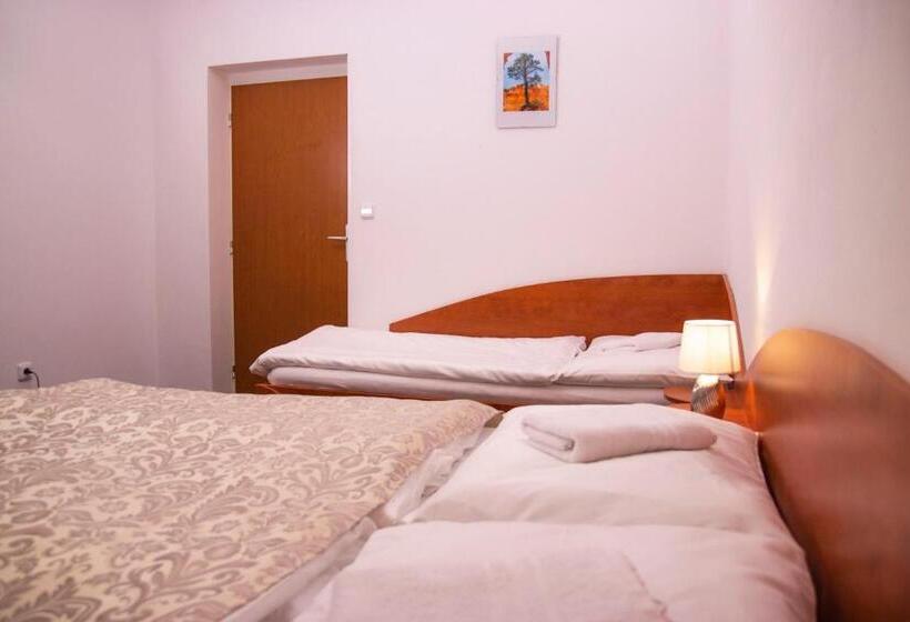 اتاق استاندارد سه نفره, Penzion Axa