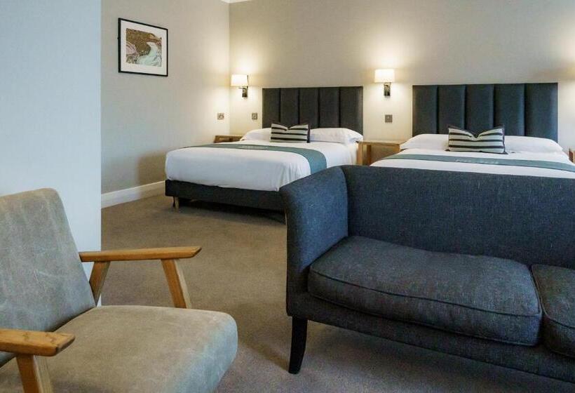 Номер Стандарт 2 Двуспальные Кровати, Aberystwyth Park Lodge